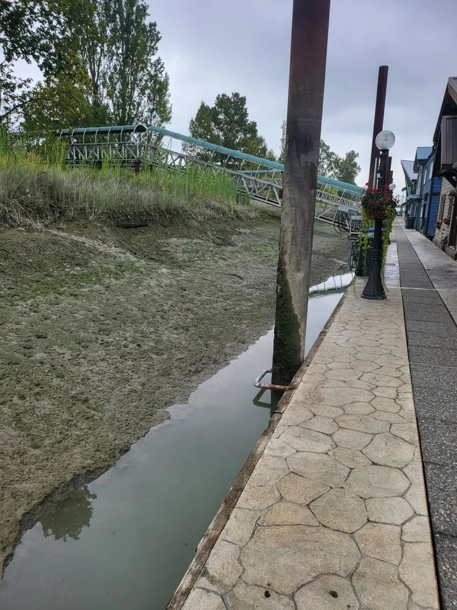 Additional Mud Mower project photograph